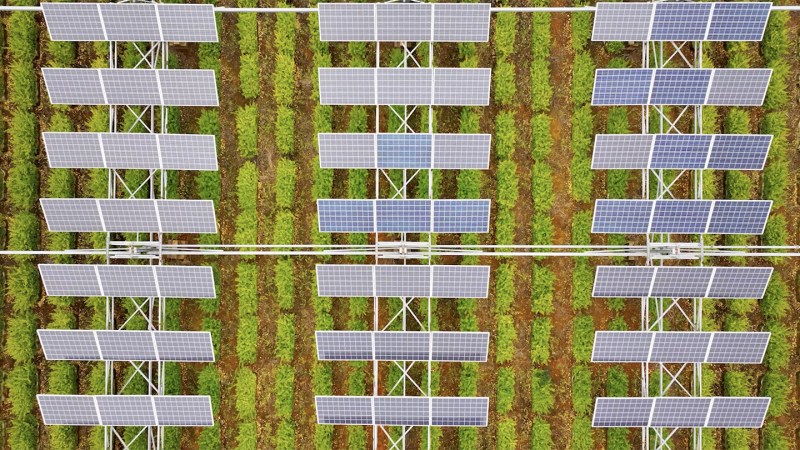 Can solar farms and agricultural farms coexist?